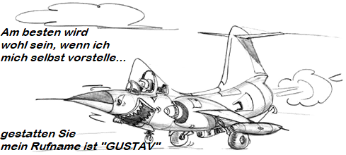 Das Tagebuch einer Gustav in einem beliebigen deutschen Jagdbombergeschwader