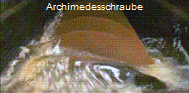 Archimedesschraube in Betrieb